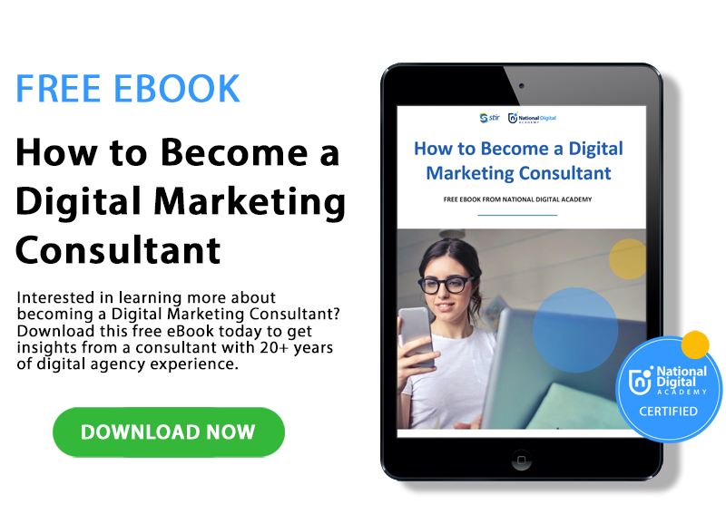 free ebook - how to become a digital marketing consultant